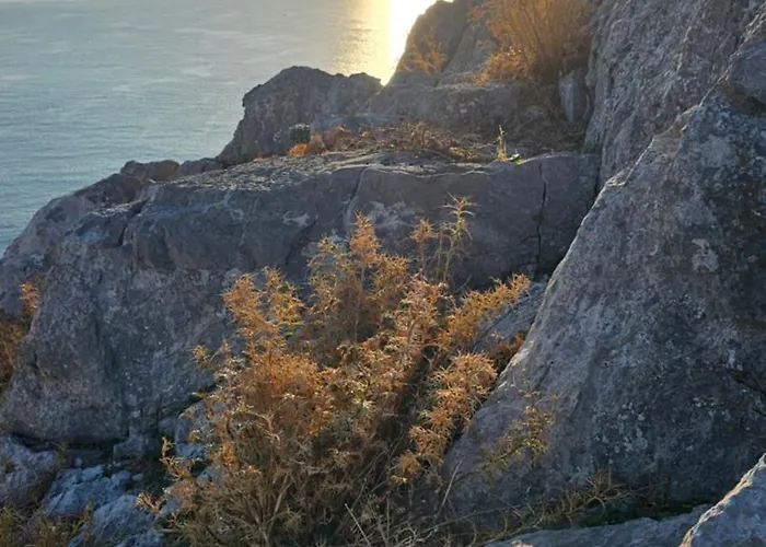 De Sol アパート ハラキ