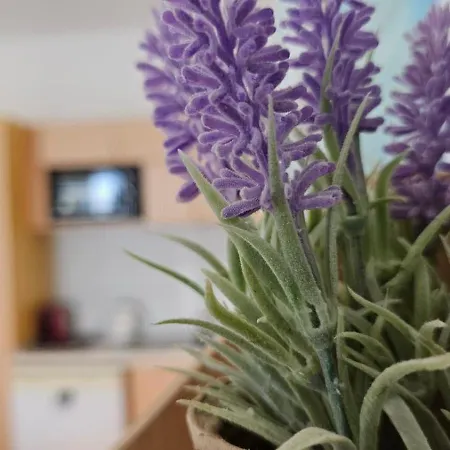 Apartament De Sol *